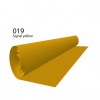 019signal-yellow